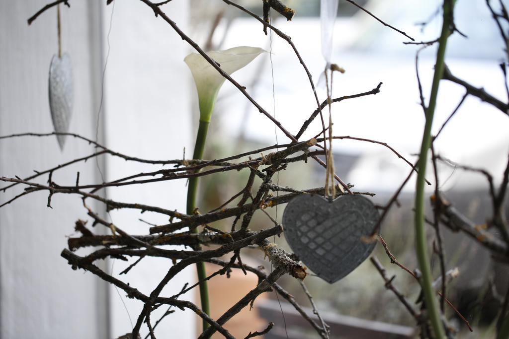 Boutique Hotel Loipenhof Fürstenfeld エクステリア 写真